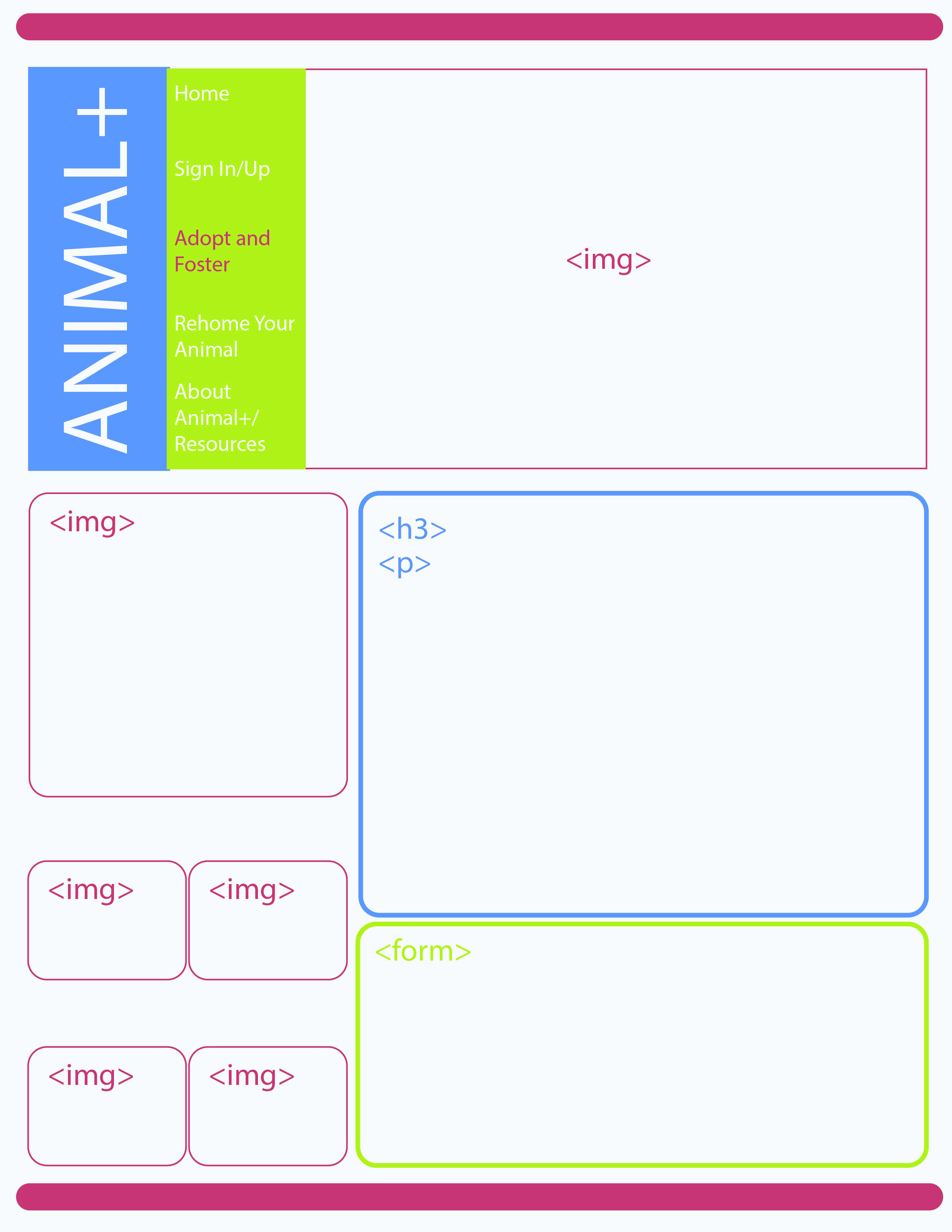 Animal:[name] Wireframe