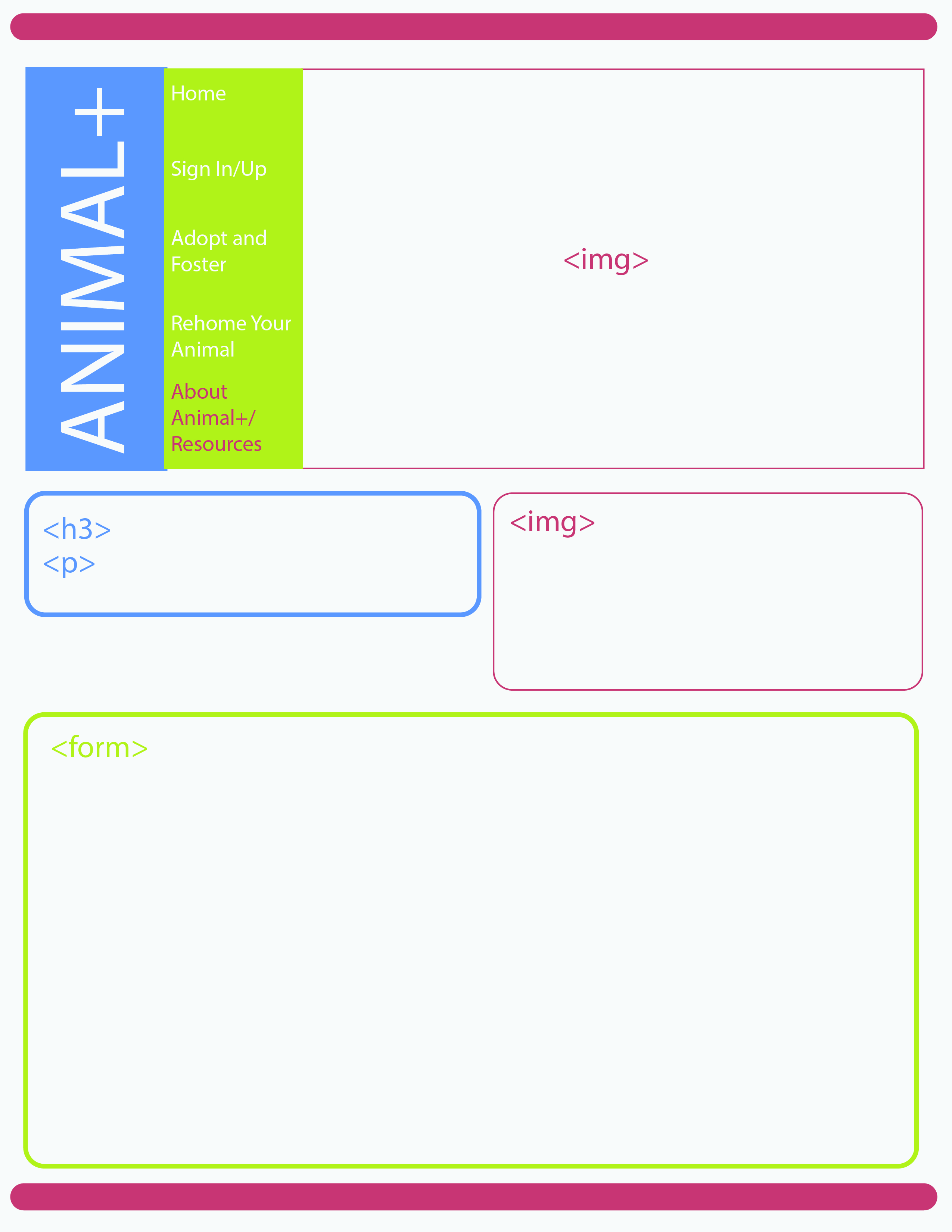 About Animal+ Wireframe